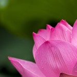 Pięć korzyści które można mieć z medytacji