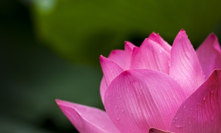 Pięć korzyści które można mieć z medytacji