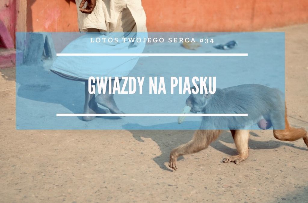 LTS 034: Podróż do Indii czyli Gwiazdy na piasku – Renata Radlak-Dominik