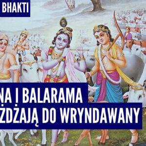 Kryszna i Balarama przyjeżdżają do Wryndawany