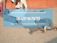 LTS 034: Podróż do Indii czyli Gwiazdy na piasku – Renata Radlak-Dominik